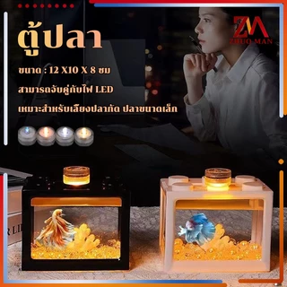 ตู้ปลากัด DIY ตู้ปลา ตู้ปลาขนาดเล็ก เหมาะสำหรับเลี้ยงปลากัด ปลาขนาดเล็ก อิสระเลือกสีของแสงไฟ LED