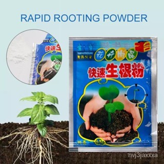 （คุณภาพสูง เมล็ด）【In stock】Sweet seeds 1Pcs Fast Rooting Powder Hormone Growing Root Seedling/ง่าย ปลูก สวนครัว /ผักชี U