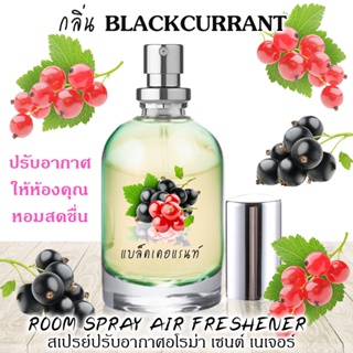 Spray Air Freshener 120ml กลิ่น Black Currant