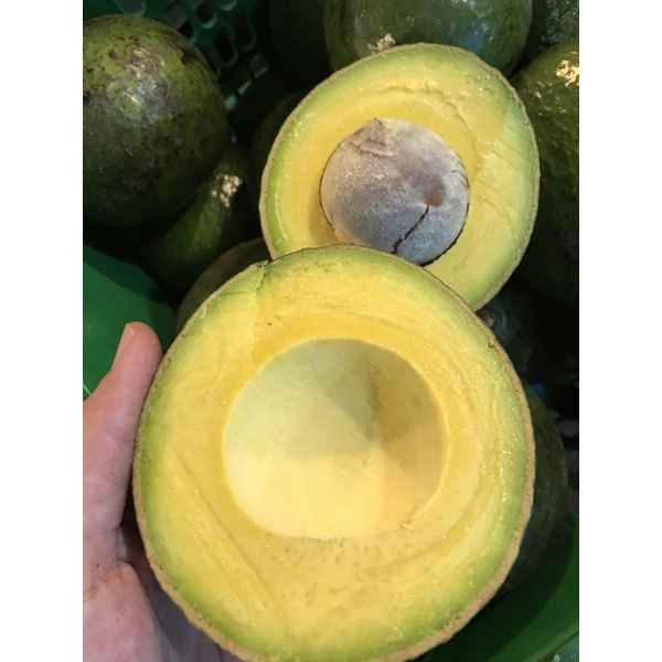 อะโวคาโด( 1 โล ) พันธุ์พื้นเมือง พันธุ์A034 คัดพิเศษเกรด A นำเข้าจากเวียดนาม