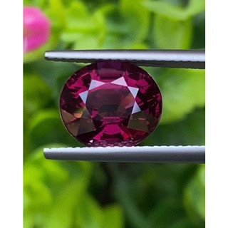 พลอย โรโดไลต์ กาเน็ท Rhodolite Garnet 5.23 กะรัต Cts.พลอยแท้ อัญมณีมงคลประจําวันเกิด เครื่องประดับพลอย