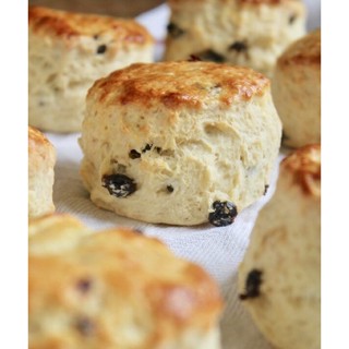 สโคน ลูกเกด English scones 6 ชิ้น เนยสดแท้ ทำสดใหม่ทุกวัน