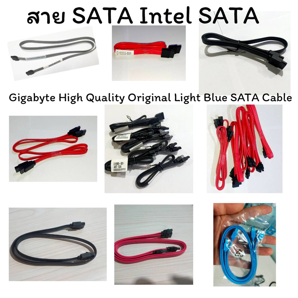 สาย SATA Intel SATA Bizlink,สายแบรนด์ AsLink SATA III Cable - 6Gbps,สายซาต้า สาย SATA สายฮาร์ดดิส (ม