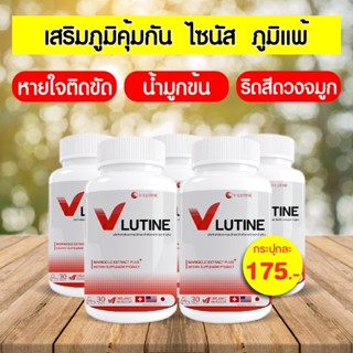 💯ส่งตรงจากบริษัท จบทุกภูมิแพ้  สารสกัดจากธรรมชาติ   ไซนัส วี-ลูติน   ริดสีดวงจมูกแก้ให้หายขาดด้วย  นำเข้าจาก3ประเทศ 🇨🇭🇺🇸