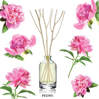 ก้านไม้หอมปรับอากาศขนาดมินิ 15ml PEONY ดอกพีโอนี่