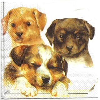 Pladao Napkin ภาพสัตว์ ภาพวาดลานเส้น Dog สุนัข ภาพร่าง กระดาษ แนพกิ้น สำหรับงานศิลปะ เดคูพาจ decoupage ขนาด L 33x33