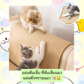 BN-433 แผ่นลับเล็บ ที่ลับเล็บแมว แผ่นดักทรายแมว ที่นอนแมว ราคาถูก พร้อมส่ง🐱🐱