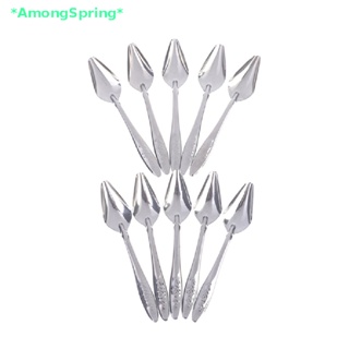 AmongSpring&gt; 5Pc Baby Bird Pointed Feeding Spoon Stainless Steel Milk Medicine Parrot  new