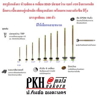 สกรู ยิงหลังคาหัวบล็อค6เหลี่ยม HSD ปลายสว่าน เบอร์#10 ยิงคานเหล็กยึดกระเบื้องลอนคู่มุงหลังคา พร้อมแหวนยาง 100ตัว