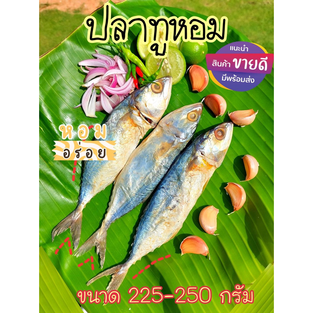 ปลาทูหอม แพ็ค 2-3 ตัว ขนาด 200-250 กรัม ต่อแพ็ค ถุงสูญญากาศ