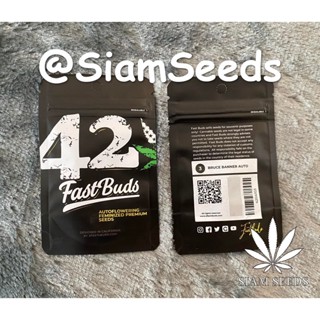 เมล็ดกัญชา Fastbuds Bruce Banner Auto Cannabis Seeds (Pack of 3)