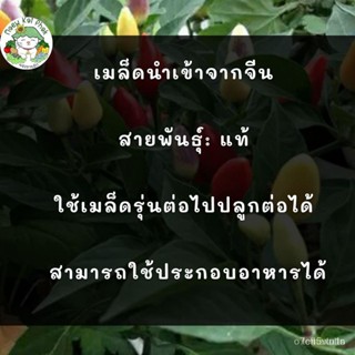 (เมล็ดพันธุ์แท้)เมล็ดพันธุ์ พริกประดับจีน 5 สี  Chinese Ornamental 5 Color Pepper เมล็ดพันธุ์นำเข้าแท้ /คะน้า 9L4N