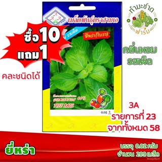 ผลิตภัณฑ์ใหม่ เมล็ดพันธุ์ จุดประเทศไทย ❤[10แถม1] 3A เมล็ดอวบอ้วน ยี่หร่า 200 เมล็ด กลิ่นหอม รสเผ็ด เมล็ดอวบอ้วน /มะเขือ