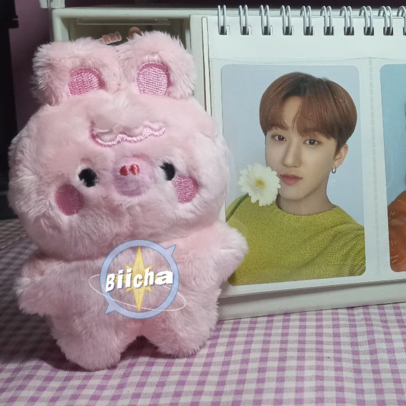 Skzoo plushie dwaekki changbin shweep dollie mini dollie pop up victory skzoo