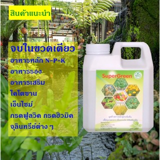 น้ำหมักมูลค้างคาว น้ำหมักขี้ค้างคาว ปุ๋ยชีวภาพ ซุปเปอร์กรีน Super Green 1กก. สุดยอดอินทรีย์สารที่พืชต้องการ น่ามีติดบ้าน