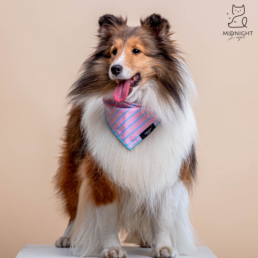 Midnight Layer - Stripy Collection - ผ้าพันคอสัตว์เลี้ยง (Pink)