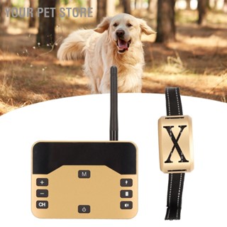 Your Pet Store ปลอกคอไฟฟ้าไร้สาย Ip67 กันน้ํา ชาร์จได้ 2 In 1 สําหรับฝึกสุนัข