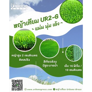 หญ้าเทียม เกรดพรีเมียม 2 ซม. สีเขียวล้วน เกรดAAA หญ้าเทียม เออร์บาโน่ กร๊าส (URBANO GRASS) หญ้าปูพื้น ติดผนัง ตกแต่งบ้าน