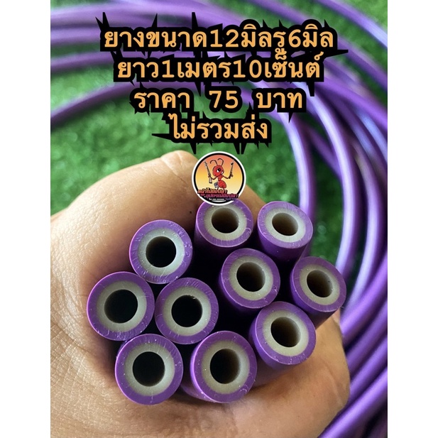 ยางยืดขนาด12มิลรุ6มิล