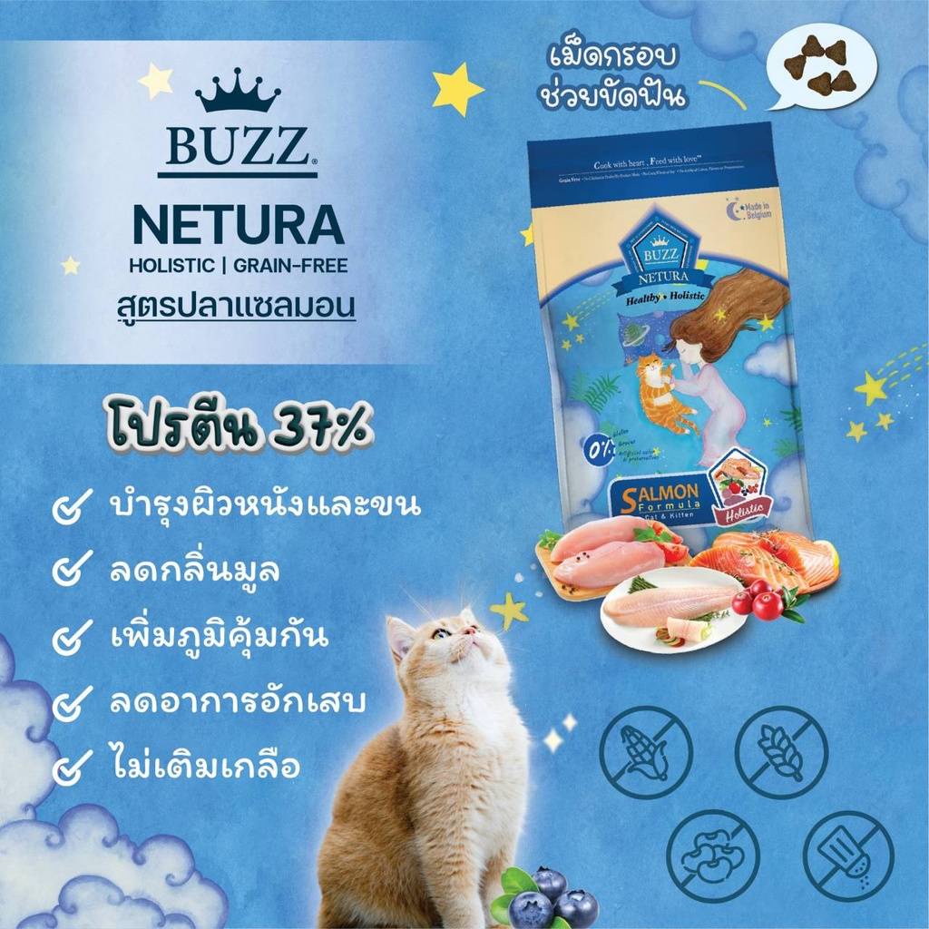 Buzz  Netura Cat Holistic อาหารแมวโฮลิสติก-เกรนฟรี สูตรแซลมอน