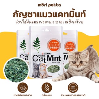 mori petta Catnip กัญชาแมวผง ซอง5กรัม