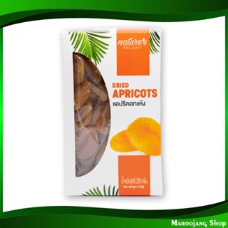 แอพริคอตแห้ง dried apricots 250 กรัม เนเจอร์ส ดีไลท์ Nature Delight แอพริคอต แห้ง แอบพริคอต แอ้พพริคอต แอ๊พพริคอต แอ็พพร