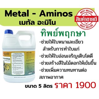 เมทัล-อะมิโน (Metal Aminos) (ซื้อครั้งละ 1 แกลลอน ) ทิพย์พฤกษา แกลลอน 5 ลิตร