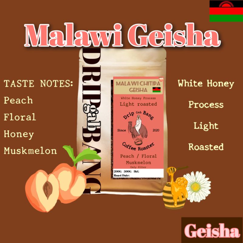 เมล็ดกาแฟคั่วอ่อนMalawi🇲🇼Chitipa Geisha
โทนพีช ดอกไม้ หอมหวาน( ดริป กับ บัง Drip gab bang )
