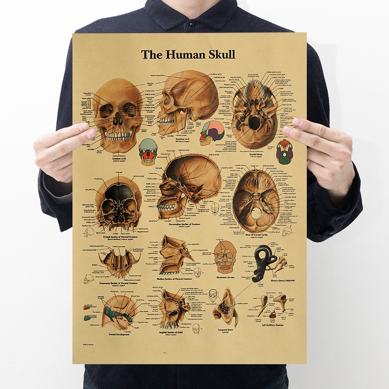 ภาพวาดกระดาษคราฟท์ รูปหัวมนุษย์ สไตล์เรโทร สําหรับตกแต่งบาร์ คาเฟ่
