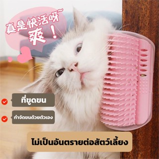 พร้อมส่ง❗❗ หวีขนแมว แปรงนวดขนแมว แบบติดผนัง ให้แมวเข้าไปถู สำหรับแมวทุกวัย แปรงหวีขน แบบเข้ามุม 2in1