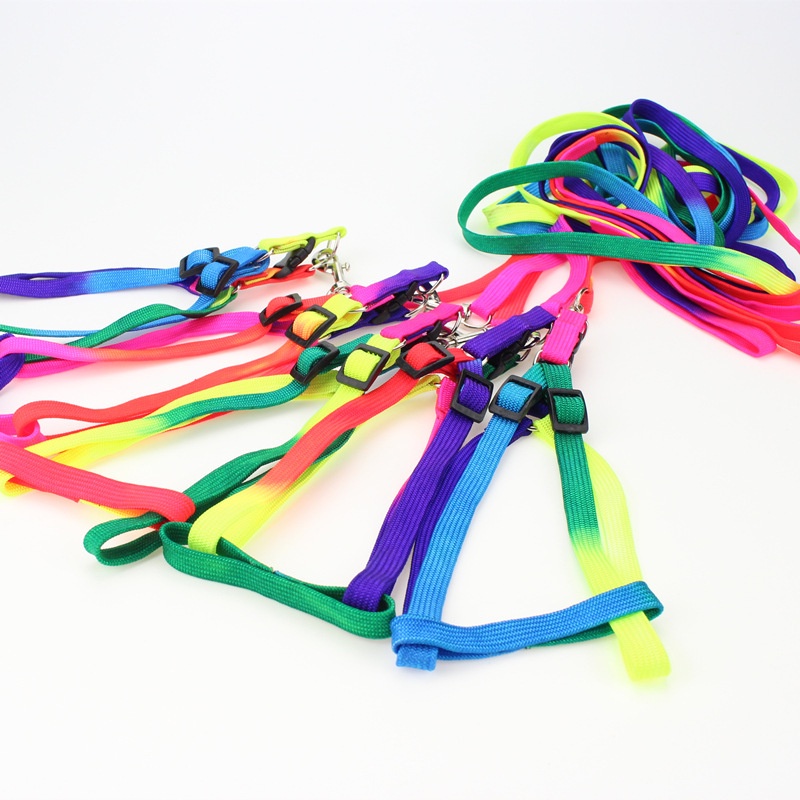 PEKO PET&CAT สายจูงสัตว์เลี้ยง สีรุ้งแบบหนา รูปที่ 2