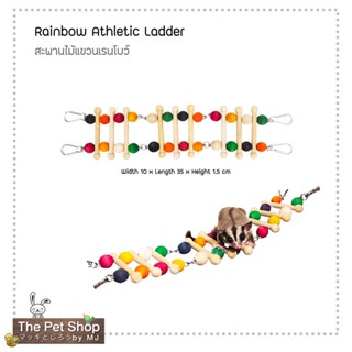 สะพานไม้แขวนเรนโบว์ Rainbow - Athletic Ladder