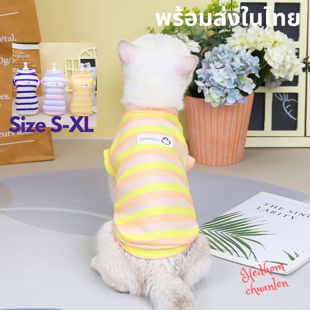 พร้อมส่ง เสื้อแมว ชุดแมวลายขวางน่ารักๆ ผ้านิ่ม เนื้อดี ใส่สบาย