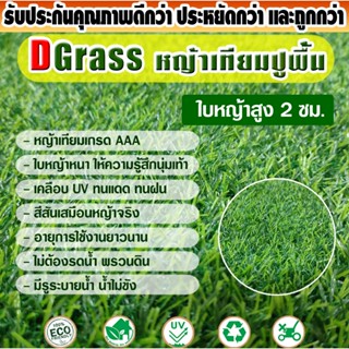 หญ้าเทียมปูพื้น Dgrass สำหรับตกแต่งสวน ตกแต่งบ้าน ใบหญ้าขนาดเล็กความสูง 2 ซม. รุ่น DG-S-20-13 (เขียวล้วน) มีขนาดให้เลือก