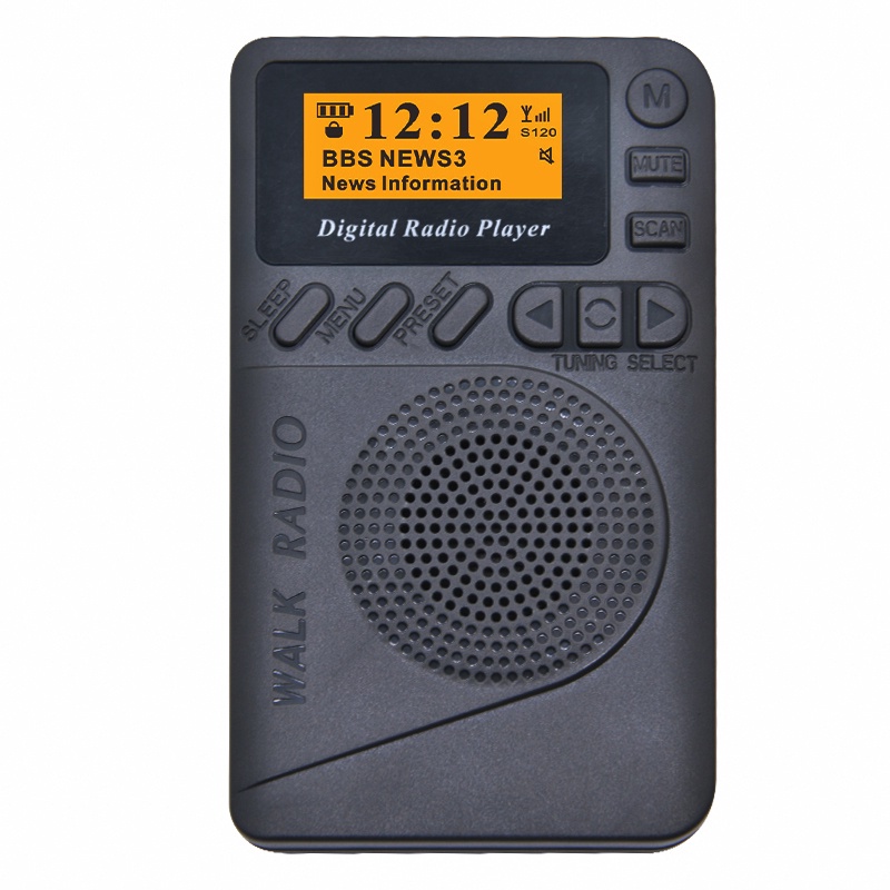 DAB/DAB Digital Radio Player DAB receiving FM Reception MP3 Player