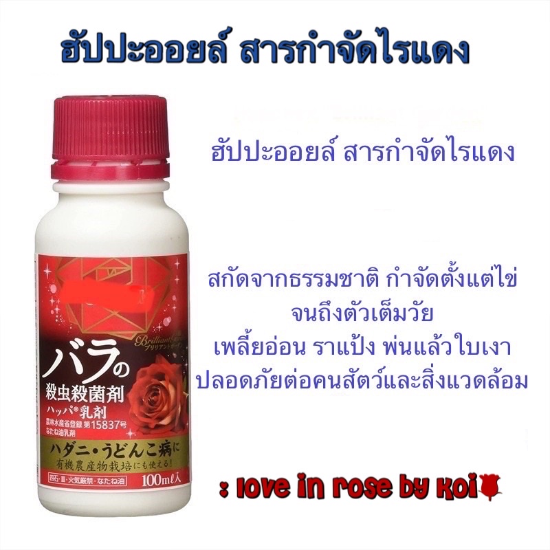 ❗️พร้อมส่ง❗️ฮัปปะออยล์สารกำจัดไรแดง ยากำจัดไรแดง ไรแมงมุม สกัดจากธรรมชาติ Happa Emulsion ฮัปปะออยล์