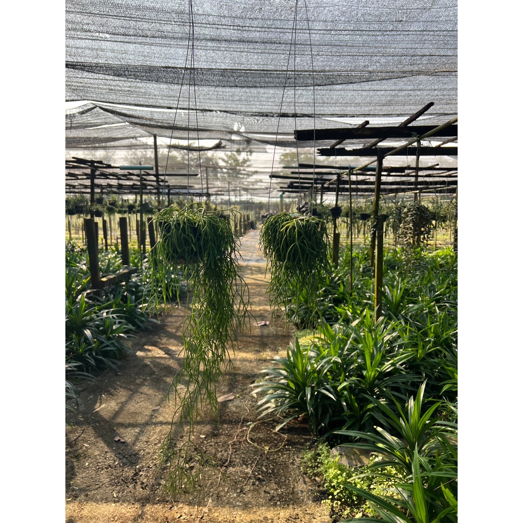 มุมมอง 3