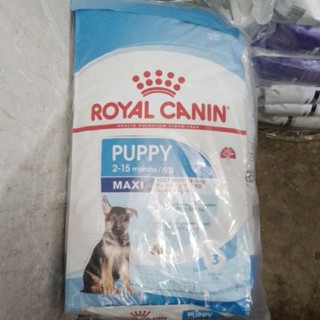 Royal Canin Puppy Maxi อาหารสำหรับลูกสุนัขพันธุ์ใหญ่