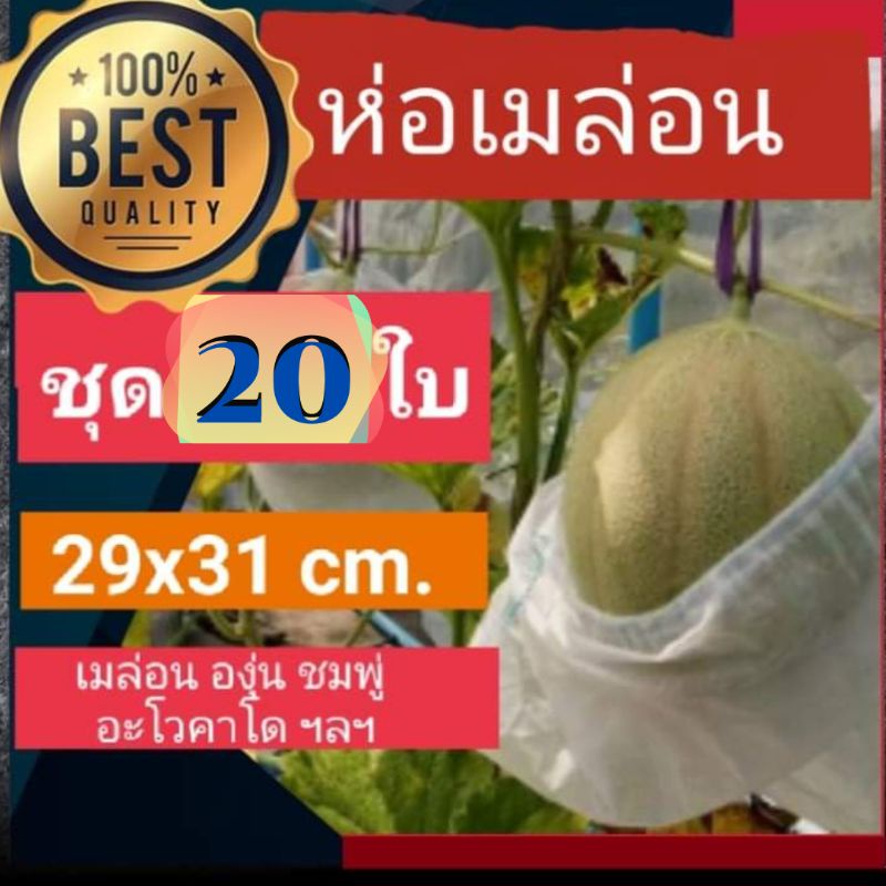 ถุงห่อผลไม้กันเเมลง (30*31cm.แพ็ค20ใบ) ถุงห่อเมล่อน ส้มโอ มะม่วงเขียวใหญ่ ชมพู่ แคนตาลูป - รูปที่ 4