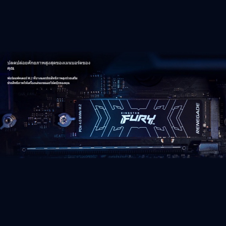 Kingston FURY Renegade with HEATSINK NVMe M.2 SSD 500GB I 1TB I 2TB PCIe 4.0 (SFYR)