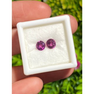 พลอย โรโดไลต์ การ์เน็ท Rhodolite Garnet 1.45 Cts. 2 เม็ด (Pcs.) พลอยแท้ อัญมณีมงคลประจําวันเกิด เครื่องประดับพลอย