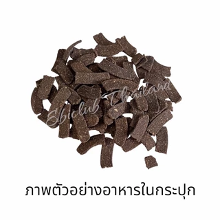 อาหารแผ่นแบบจม สำหรับกุ้งแคระ Super Energy food