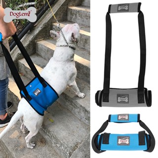 DogLemi ที่พยุงตัวสุนัข LIFT HARNESS ลดแรงกระแทกที่ข้อเข่า ข้อสะโพก ช่วยพยุงตัว