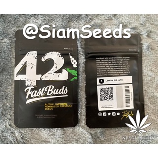 เมล็ดกัญชา Fastbuds Lemon Pie Auto Cannabis Seeds (Pack of 3)