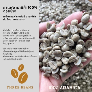 กาแฟดอยช้างของแท้100% คั่วอ่อน/คั่วกลาง/คั่วเข้ม เมล็ดกาแฟดอยช้าง อราบิก้า100% "เข้มข้น หอมละมุน" บรรจุถุงติดวาลว์ 500g