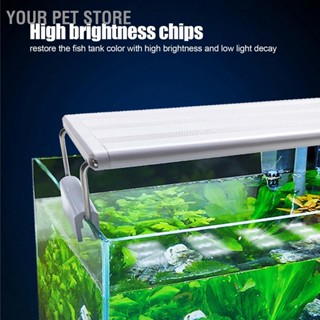 BYour Pet Store โคมไฟ Led 220V ปลั๊ก Eu พร้อมขาตั้ง สําหรับตู้ปลา