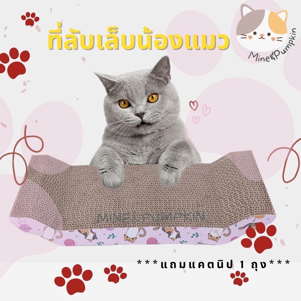 【M&P】กระดาษลับเล็บแมว ของเล่นสัตว์เลี้ยง ที่ลับเล็บแมว