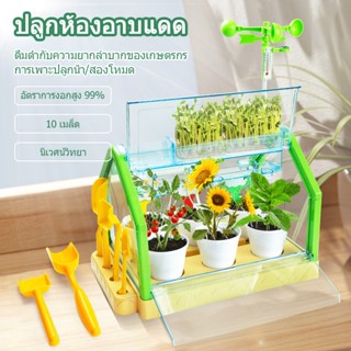 ของเล่นเพื่อการศึกษาสำหรับเด็ก ห้องแสงแดด เรือนกระจกพืช การปลูก DIY สำหรับเด็ก การทดลองทางวิทยาศาสตร์ กระถางต้นไม้สำหรับ
