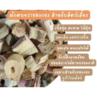ผักตบชวาสะอาดรองกรงชูก้ากระต่ายแกสบี้ชินชิล่า