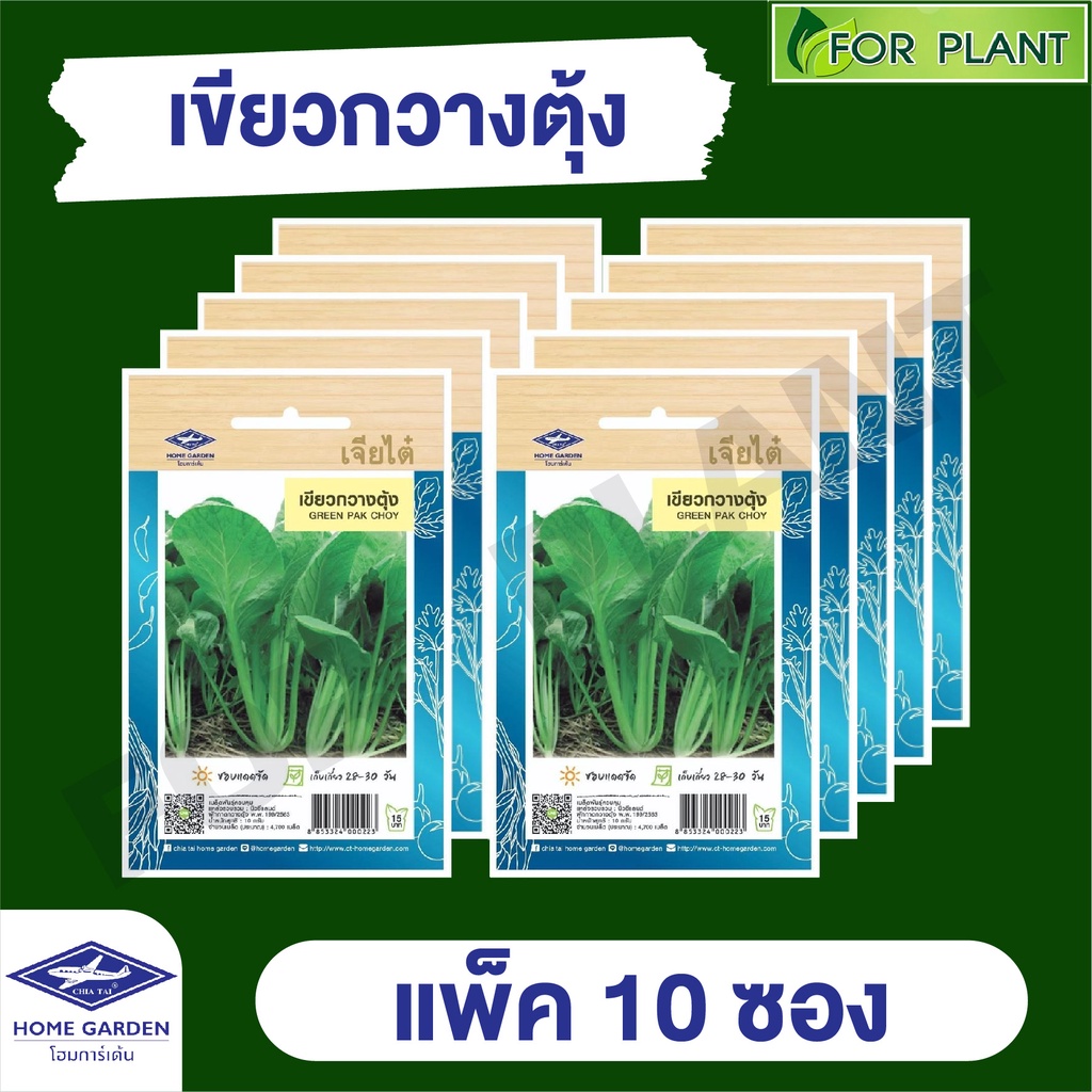 ขายส่ง เมล็ดพันธุ์ ผักซอง ยกแพค เจียไต๋ ราคาถูก บรรจุแพ็คละ 10 ซอง  CT15 {คละชนิดได้ กดใส่ตะกล้าไว้ก่อนยืนยันสั่งซื้้อ)